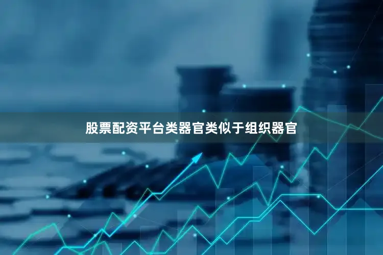 股票配资平台类器官类似于组织器官