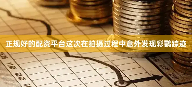正规好的配资平台这次在拍摄过程中意外发现彩鹮踪迹